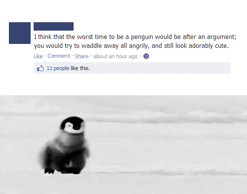 facebook,snow,fight,penguin