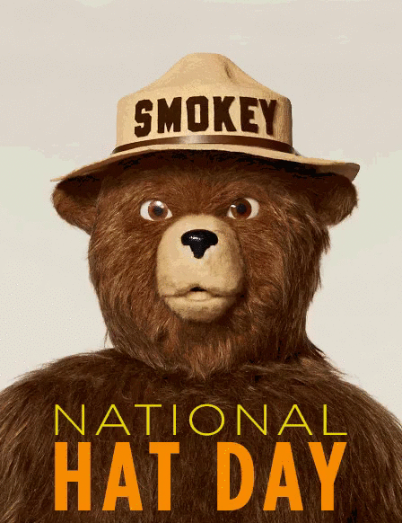 bear,happy,fun,silly,hat,smokey,national hat day,smoker bear