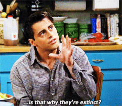 haha,shocked,wtf,homo sapiens,funny,joey,lol,fun,friends,tv show,people,show,actor,joey tribbiani,ross geller,ross,david schwimmer,sitcom,face palm,homo,not judging,mat le blanc,venner,old time