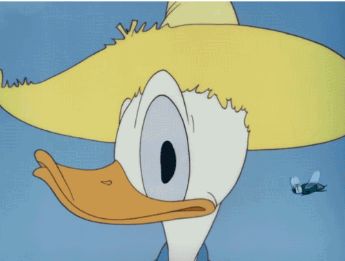 donald duck,disney animation,farmer,animation,disney,fly,disney short,old macdonald duck