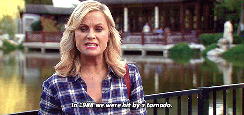 tv,parks and recreation,amy poehler,leslie knope