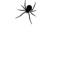 halloween,transparent,spider,spiderman,spooky