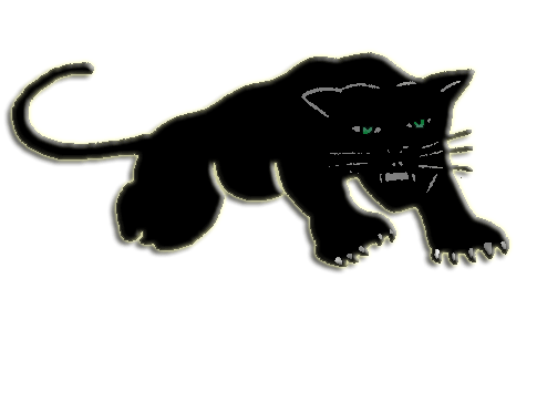transparent,black panther