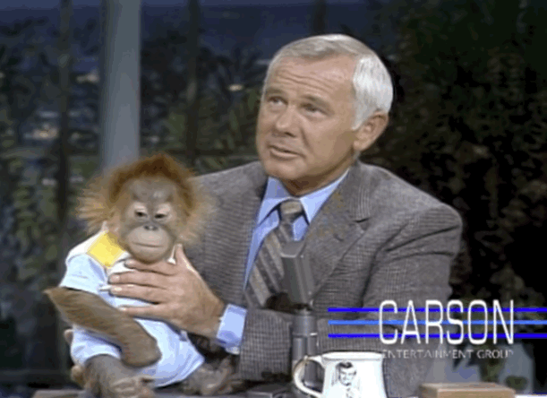 orangutan,baby,johnny,carson