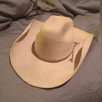 cowboy hat,seene