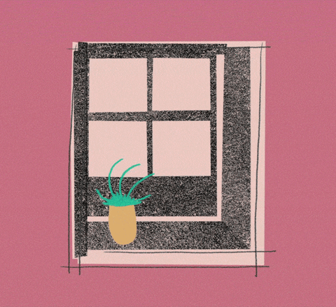 saudade,introspective,nostalgia,window,feelings,plant