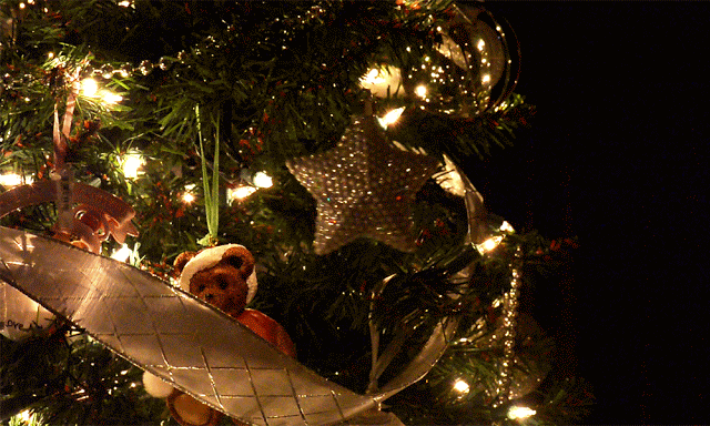christmas,snow,winter,christmas tree,teddy bear,christmas lights,christmas cinemagraph,cinemagraph,santa,upload,snowing,cozy,christmas blog,christmas ornament,winter blog