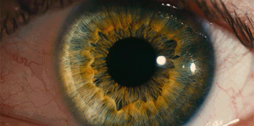 brit marling,movie,michael pitt,i origins,mike cahill,astrid berges frisbey