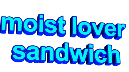 moist lover sandwich,transparent,animatedtext,blue,sandwich,rotation,block lettering,therealguyreally