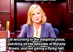 parks and recreation,amy poehler,parks and recreation 6x10