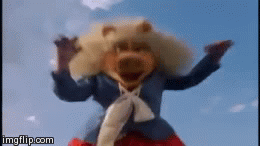 miss piggy,muppets take manhattan,rollerskating,muppets