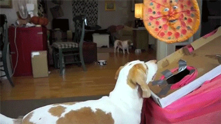 dog,pizza,siz