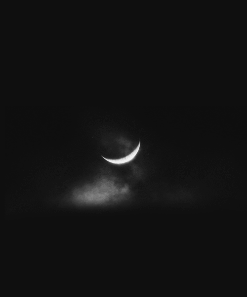 cheshire cat,black and white,creepy,night,moon,interesting,alternative