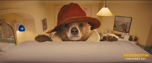 paddington bear,paddington,movie,animation,film,cute,christmas,bear,falling,oops,paddington movie