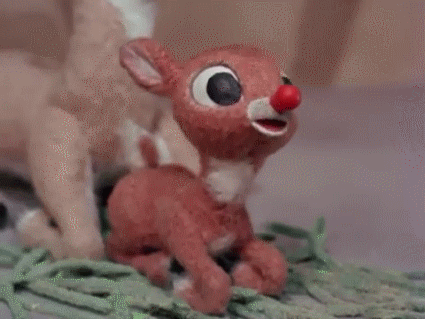 rudolph the red nosed reindeer,rudolph,reindeer,christmas,red nosed