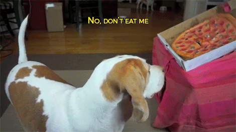 dog,pizza,siz