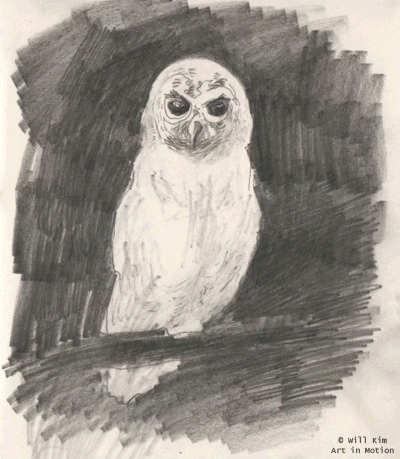 owls,imagination,2d animation,art,animals,artists on tumblr,illustration,design,magic,sparkles,willkim,particles