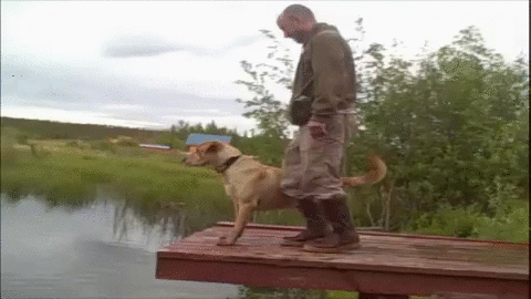 dog,fail,man,falling,lake,afv,dock,americas funniest home videos