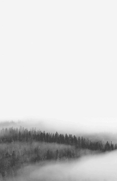 mountains,landscape,black and white,pretty,mist,nature,pale,eerie,forrest