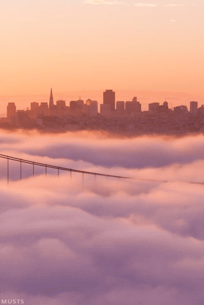 city,mist,bridge