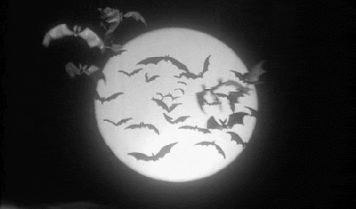 moon,bats,black and white,cartoons comics