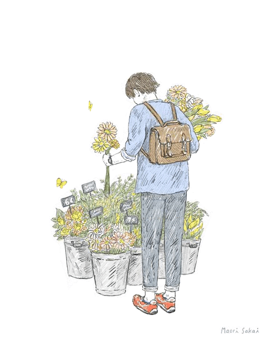 spring,illustration,flower,drawing