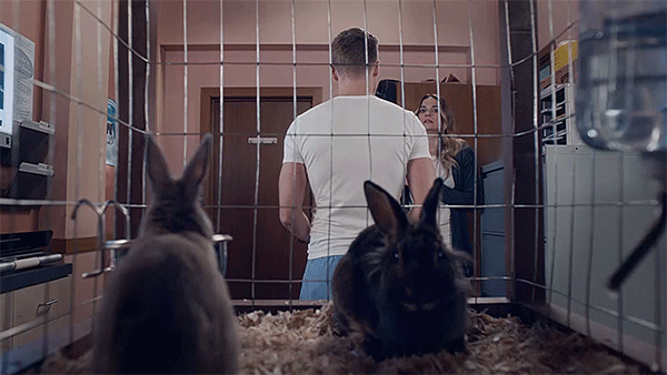 dustin milligan,when you realize,schitts creek,funny,comedy,rose,shock,humour,ted,oh no,cbc,canadian,bunnies,alexis,vet,schittscreek,rabbits,turn around,annie murphy