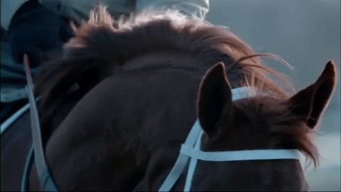 horse racing,horse race,kentucky derby