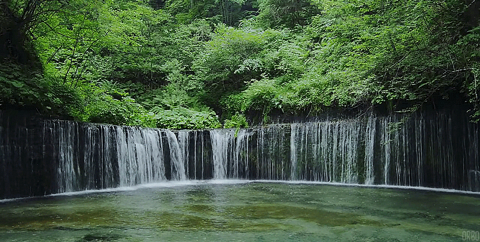 Водопад Шираито Япония. Живые водопады. Живая природа водопады. Анимация природа. Animated photo