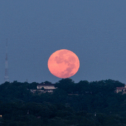 moon,full moon,texas,astronomy,austin,super moon,full moon party,mount bonnell,hill country,mt bonnell