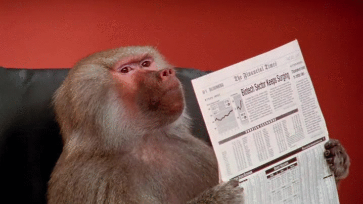 Office monkey newspaper GIF.