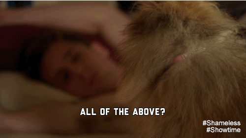 lip gallagher,all of the above,showtime,shameless,jeremy allen white