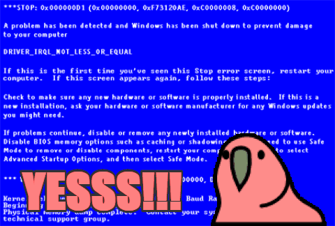 blue screen of death,parrot,struggle is real,yesss