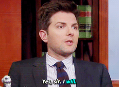 parks and recreation,parks and rec,puns,ben wyatt,pun,mineparks,gin it up