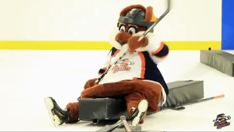 hockey,mascot,south carolina,swamp rabbits,ice skate,greenville,stomper
