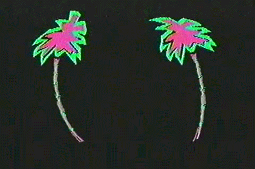 palm trees,neon,inspiration,vintage,pink,80s,green,graphic