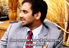 parks and recreation,parks and rec,stuff,500,tom haverford