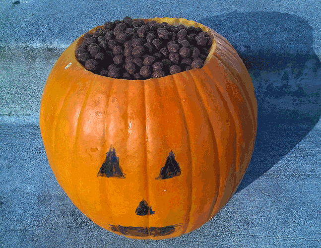 halloween,cereal,jack o lantern,cocoa puffs