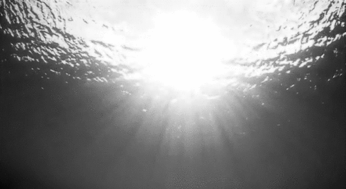 pretty,underwater,the ocean,black and white,water,ocean,light,gorgeous