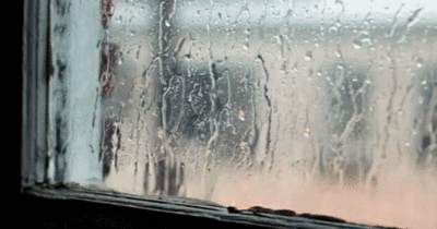deszcz,sad,window,okno,rain day,szyba