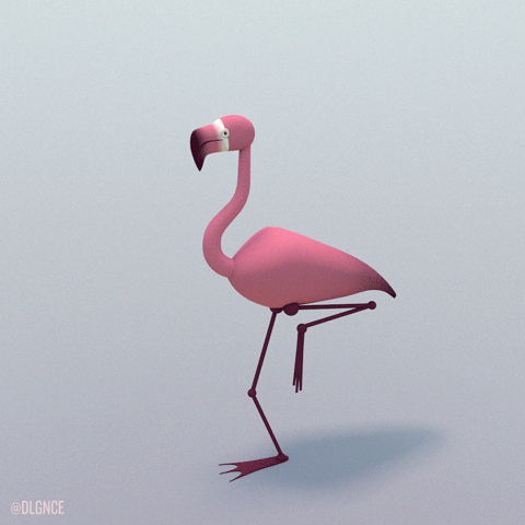 flamingo,pink,bird,twist,c4d,3d art,3d animation,birds,snob,friend,cinema 4d,turn,nod,rendering,look away,birdie,dlgnce,stuart wade,snooty