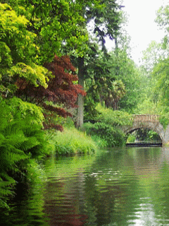 landscape,nature,green,bridge