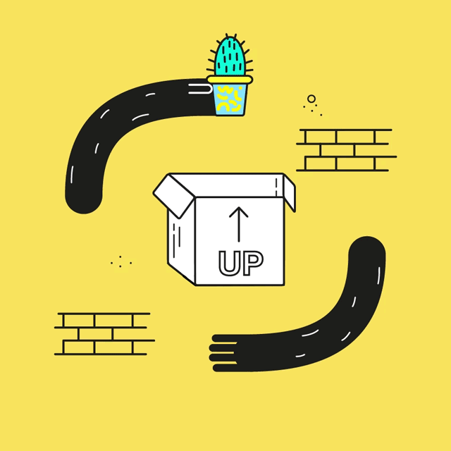 box,cactus,moving house,animation,illustration,color,home,hands,moving,illustrated