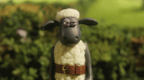 shaun the sheep,lets do this,winner,strong,olympics,rio,aardman,determined,weight lifting,shaunthesheep,sleeves,championsheeps,knuckle crack