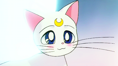 sailor moon,artemis,anime,kawaii,adorable