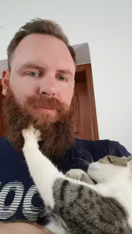 beard,cat,eyebleach,owners