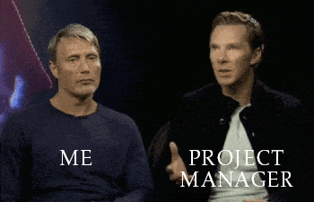 project,manager,programmer,vs