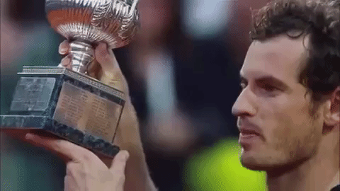 tennis,champion,trophy,murray,atp,andy murray,number 1,lifting trophy
