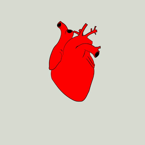 animation,xavieralopez,drawing,anatomy,illustration,green,hand drawn,art,loop,heart,red,bones,melting,melt,flesh,flesh and bones,rib