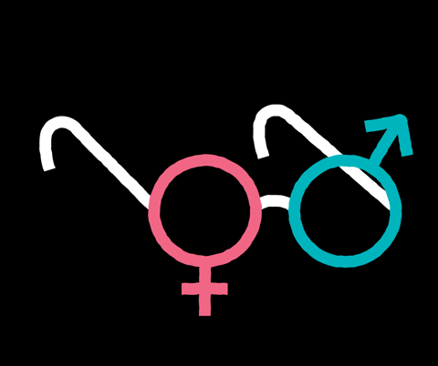gender,female,glasses,male,tim lahan